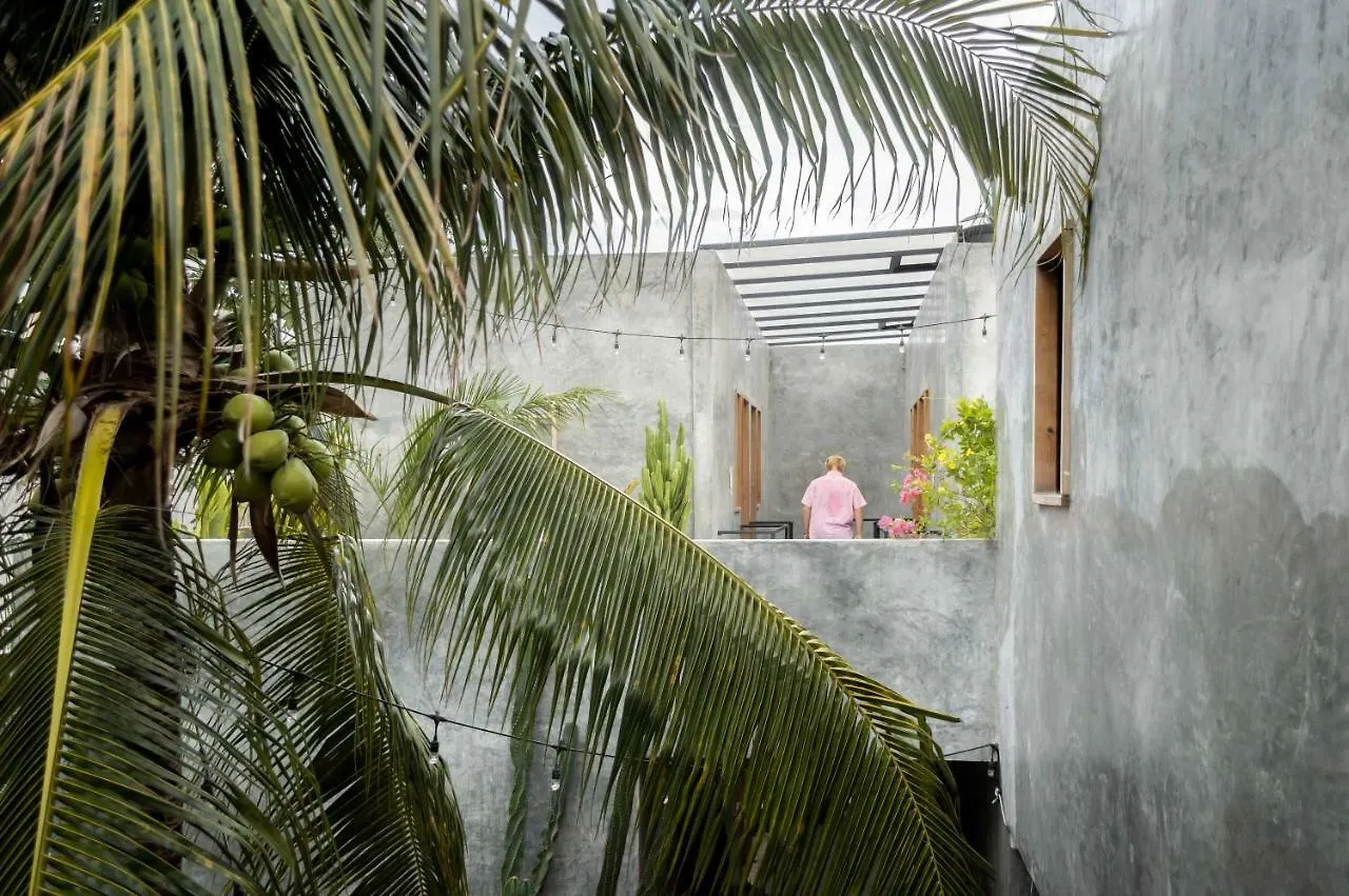 تولوم Lum Hostel