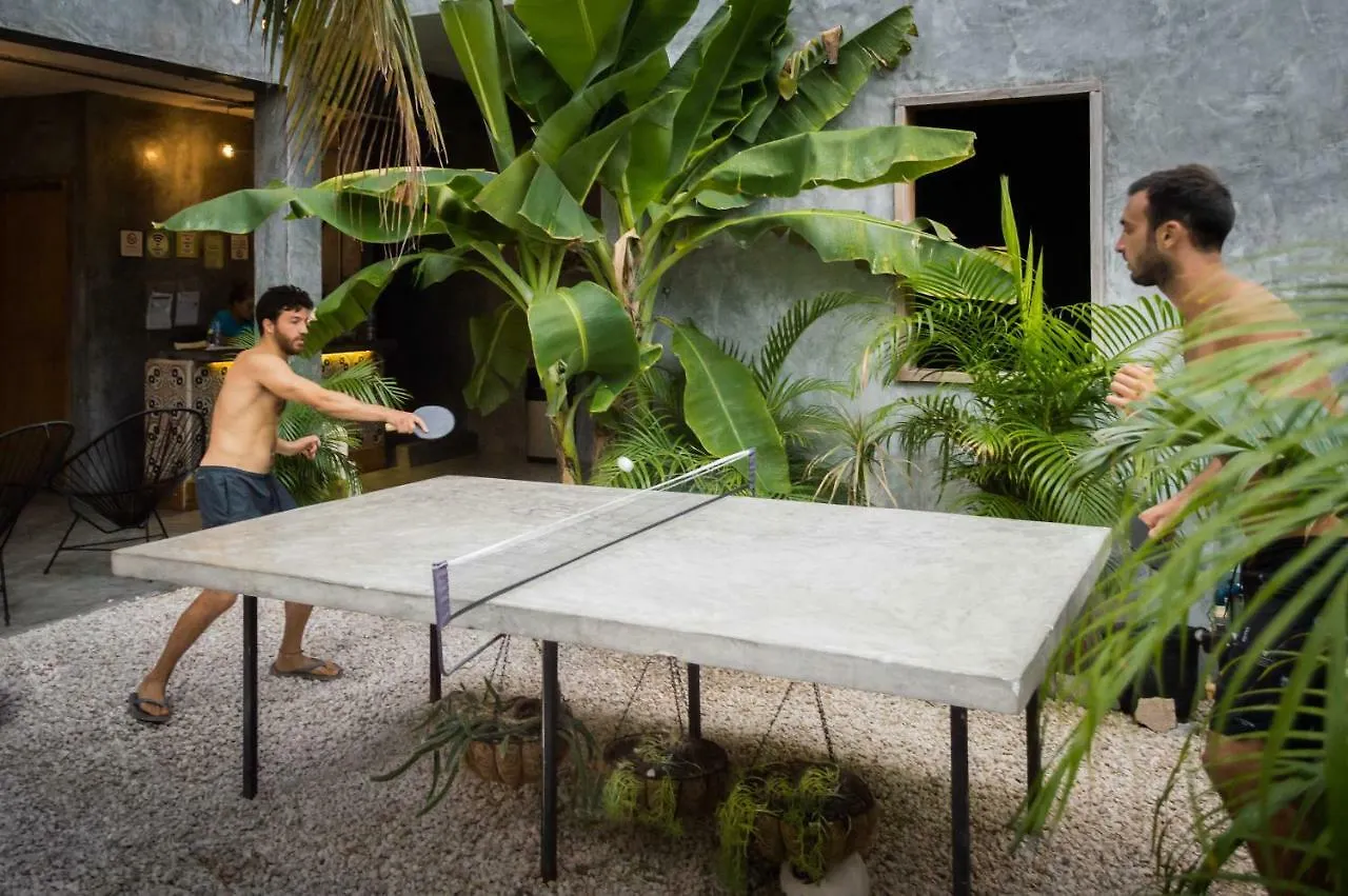 تولوم Lum Hostel