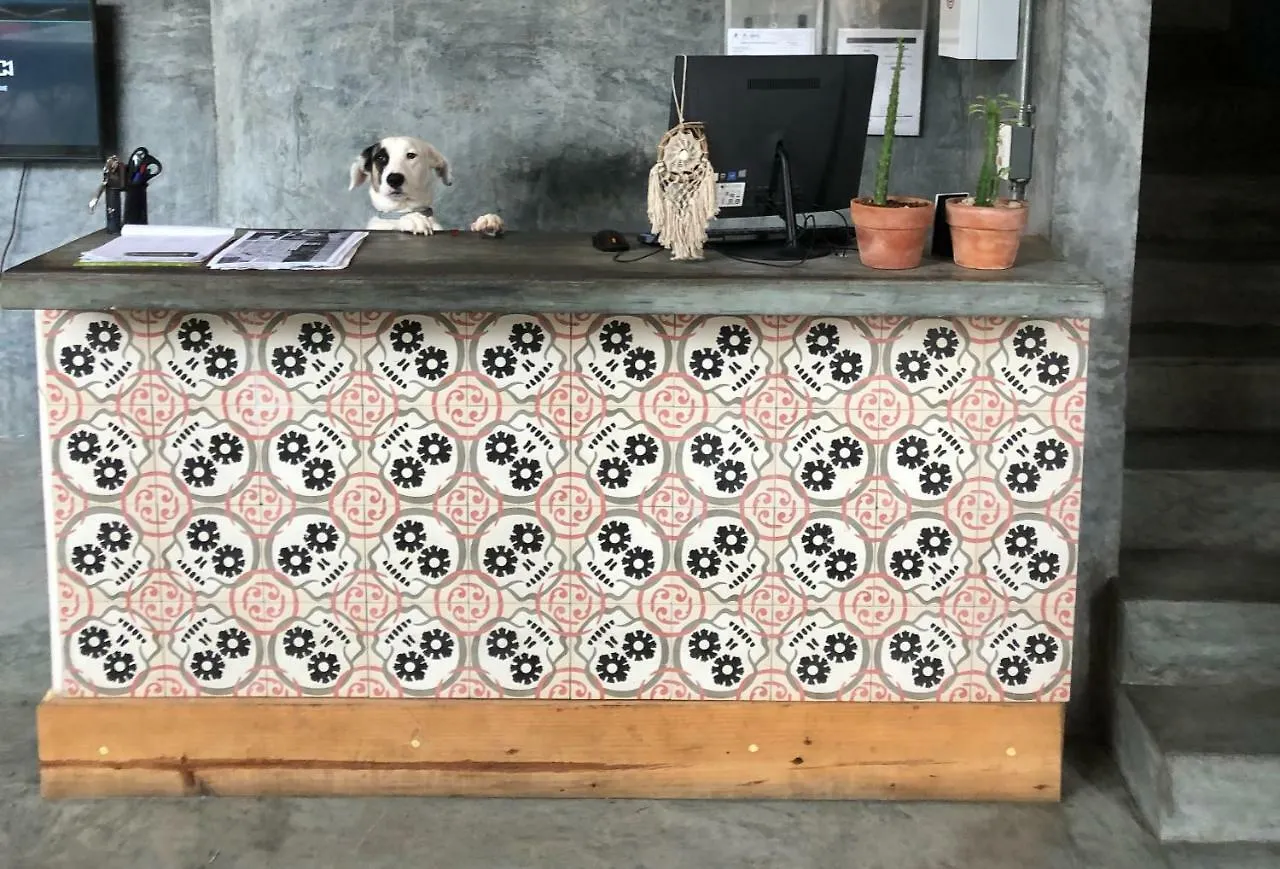 تولوم Lum Hostel